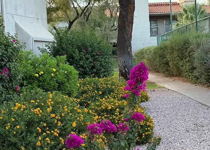 Desert Rose